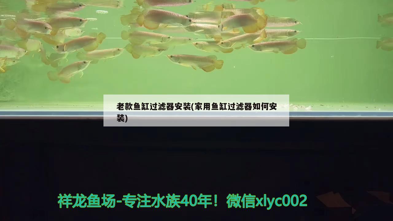 老款鱼缸过滤器安装(家用鱼缸过滤器如何安装)