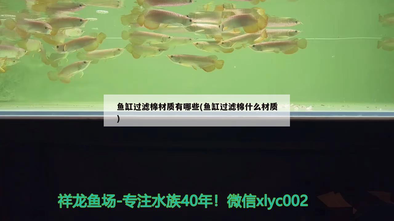 鱼缸过滤棉材质有哪些(鱼缸过滤棉什么材质)