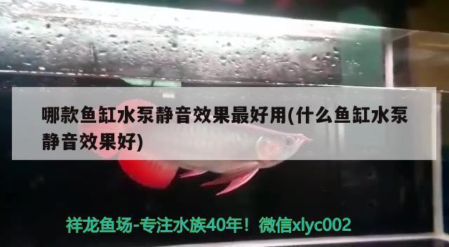 哪款鱼缸水泵静音效果最好用(什么鱼缸水泵静音效果好) 鱼缸水泵