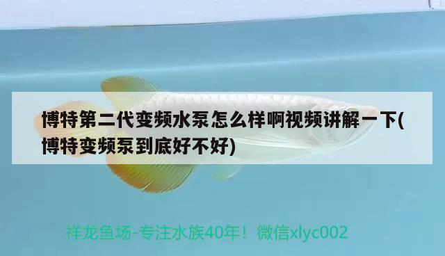 博特第二代变频水泵怎么样啊视频讲解一下(博特变频泵到底好不好) 博特水族