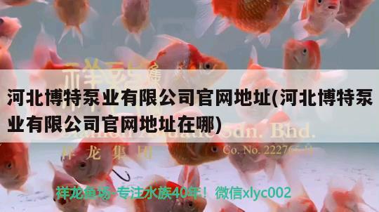 河北博特泵业有限公司官网地址(河北博特泵业有限公司官网地址在哪) 博特水族