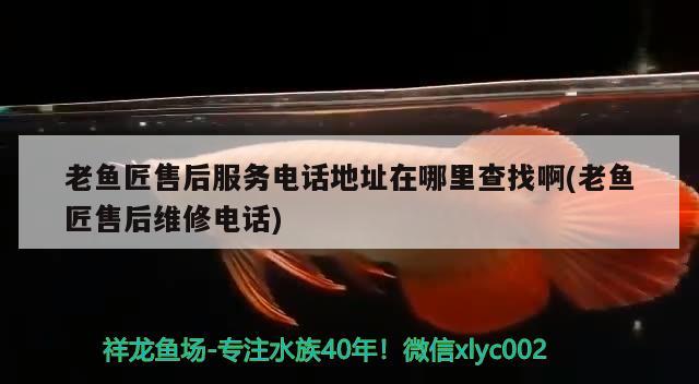 老鱼匠售后服务电话地址在哪里查找啊(老鱼匠售后维修电话) 老鱼匠