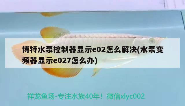 博特水泵控制器显示e02怎么解决(水泵变频器显示e027怎么办) 博特水族