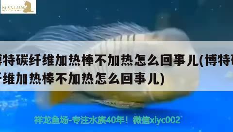 博特碳纤维加热棒不加热怎么回事儿(博特碳纤维加热棒不加热怎么回事儿)