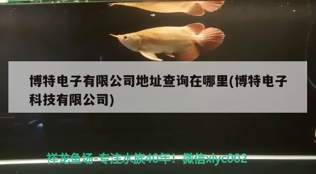 博特电子有限公司地址查询在哪里(博特电子科技有限公司)