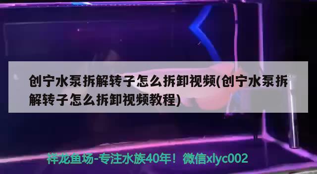 创宁水泵拆解转子怎么拆卸视频(创宁水泵拆解转子怎么拆卸视频教程) 创宁水族