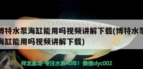 博特水泵海缸能用吗视频讲解下载(博特水泵海缸能用吗视频讲解下载) 博特水族