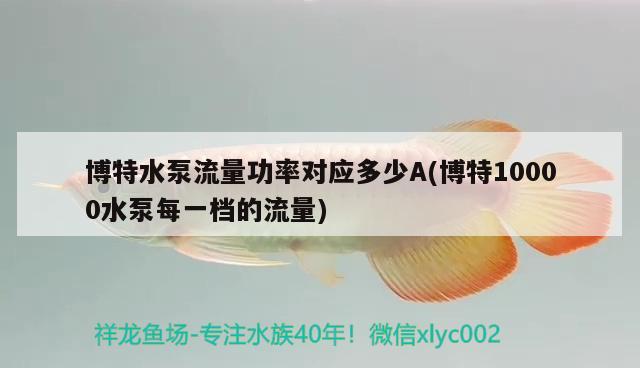 博特水泵流量功率对应多少A(博特10000水泵每一档的流量) 博特水族