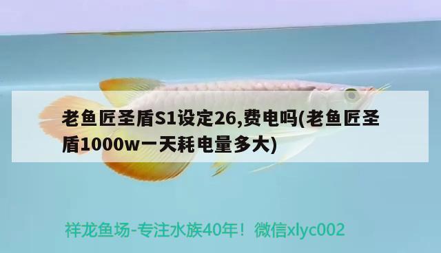 老鱼匠圣盾S1设定26,费电吗(老鱼匠圣盾1000w一天耗电量多大) 老鱼匠