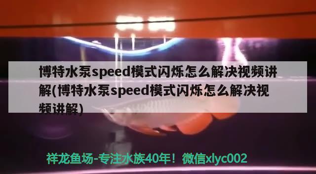 博特水泵speed模式闪烁怎么解决视频讲解(博特水泵speed模式闪烁怎么解决视频讲解) 垂钓乐园