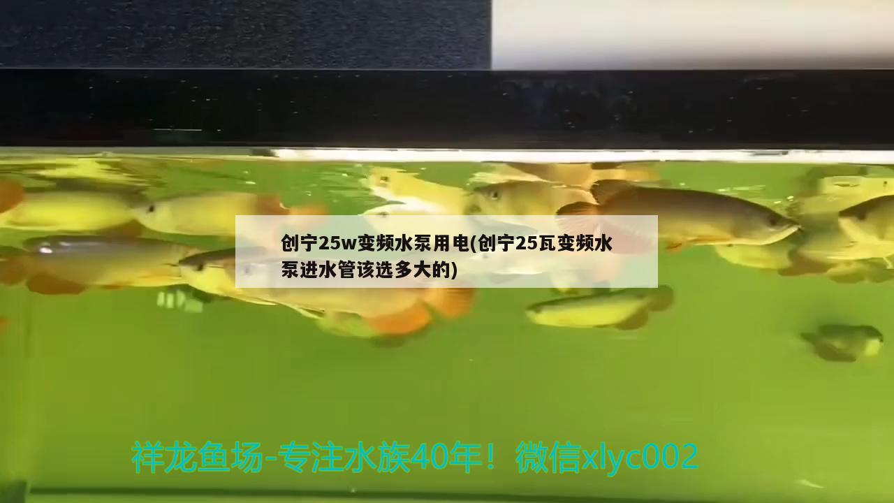 创宁25w变频水泵用电(创宁25瓦变频水泵进水管该选多大的) 创宁水族