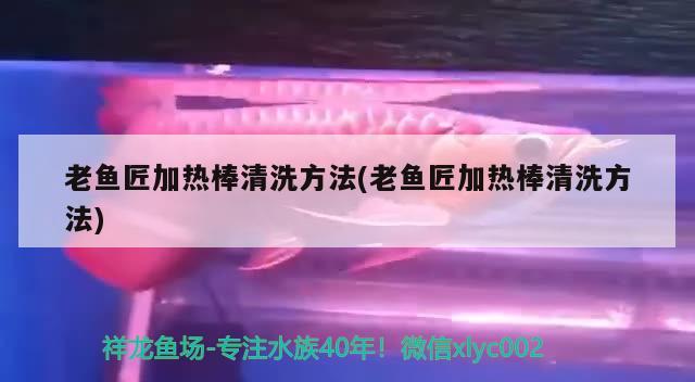 老鱼匠加热棒清洗方法(老鱼匠加热棒清洗方法)