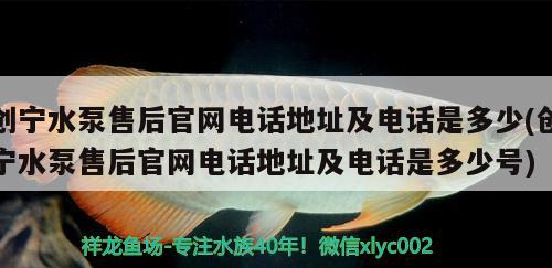 创宁水泵售后官网电话地址及电话是多少(创宁水泵售后官网电话地址及电话是多少号)