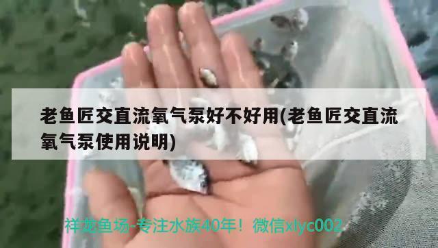 老鱼匠交直流氧气泵好不好用(老鱼匠交直流氧气泵使用说明)