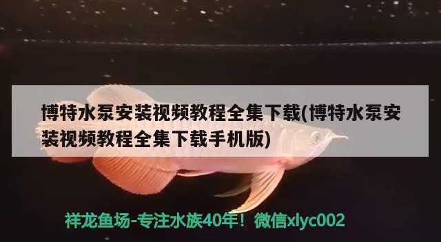 博特水泵安装视频教程全集下载(博特水泵安装视频教程全集下载手机版) 博特水族