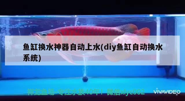 鱼缸换水神器自动上水(diy鱼缸自动换水系统)