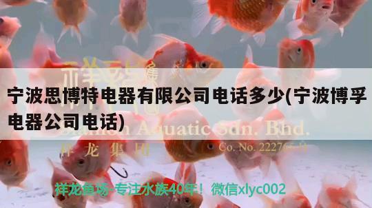 宁波思博特电器有限公司电话多少(宁波博孚电器公司电话) 博特水族