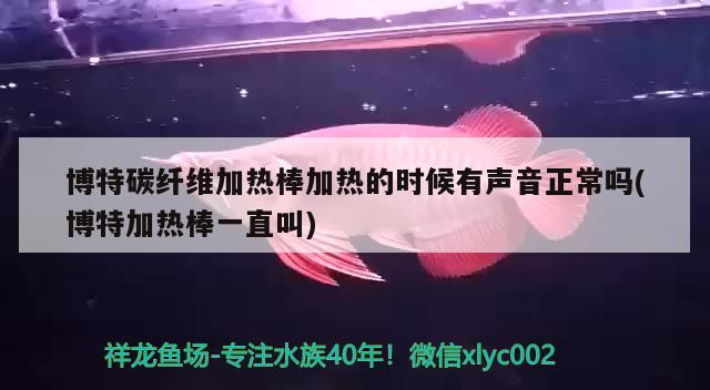 博特碳纤维加热棒加热的时候有声音正常吗(博特加热棒一直叫)