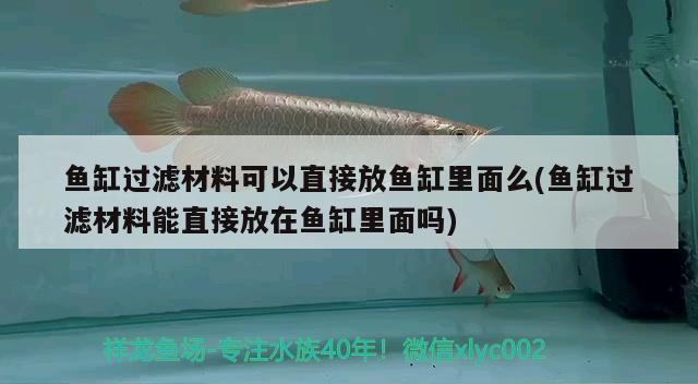 鱼缸过滤材料可以直接放鱼缸里面么(鱼缸过滤材料能直接放在鱼缸里面吗) 申古三间鱼