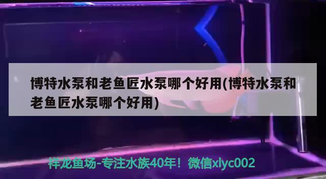 博特水泵和老鱼匠水泵哪个好用(博特水泵和老鱼匠水泵哪个好用)