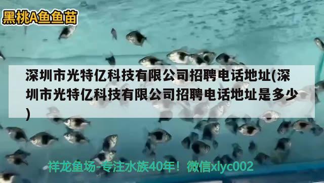 深圳市光特亿科技有限公司招聘电话地址(深圳市光特亿科技有限公司招聘电话地址是多少) 光特亿