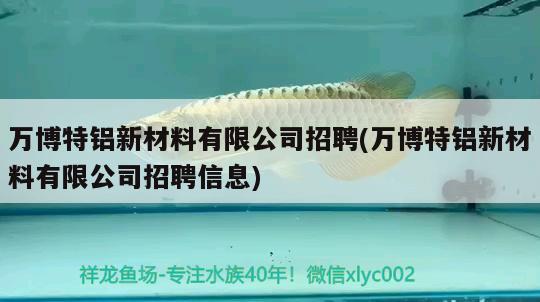 万博特铝新材料有限公司招聘(万博特铝新材料有限公司招聘信息) 博特水族