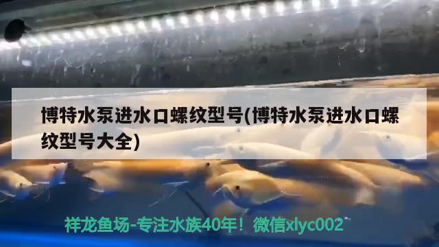 博特水泵进水口螺纹型号(博特水泵进水口螺纹型号大全) 博特水族