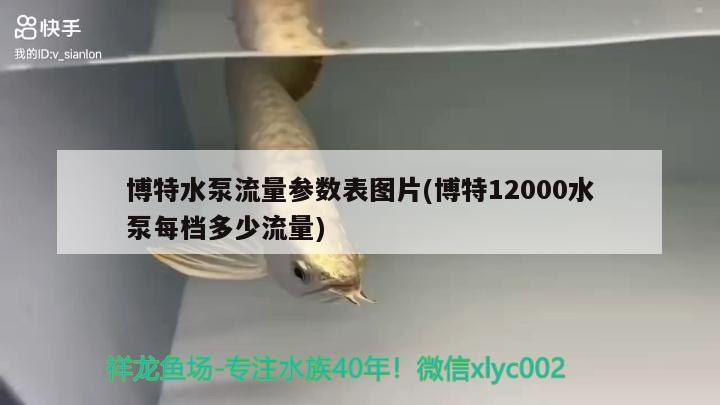 博特水泵流量参数表图片(博特12000水泵每档多少流量)