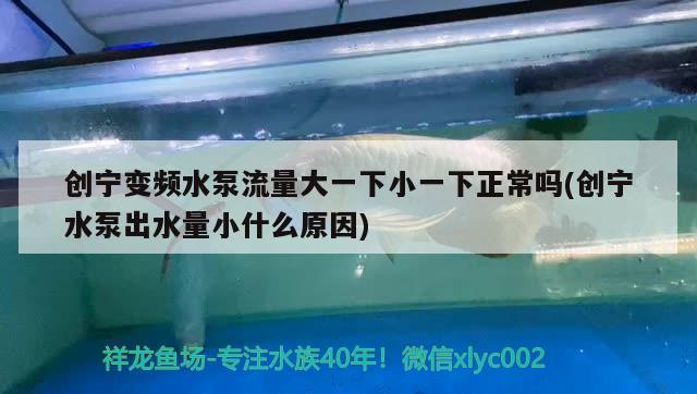 创宁变频水泵流量大一下小一下正常吗(创宁水泵出水量小什么原因) 创宁水族