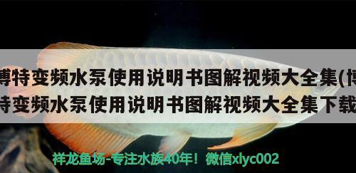 博特变频水泵使用说明书图解视频大全集(博特变频水泵使用说明书图解视频大全集下载)