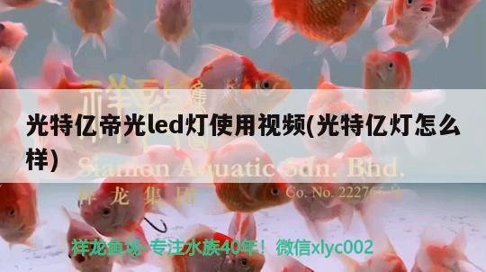 光特亿帝光led灯使用视频(光特亿灯怎么样) 光特亿