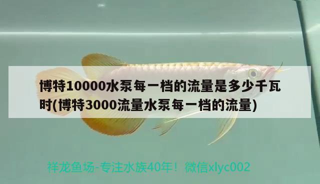 博特10000水泵每一档的流量是多少千瓦时(博特3000流量水泵每一档的流量)