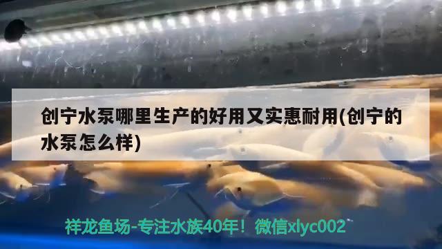 创宁水泵哪里生产的好用又实惠耐用(创宁的水泵怎么样)