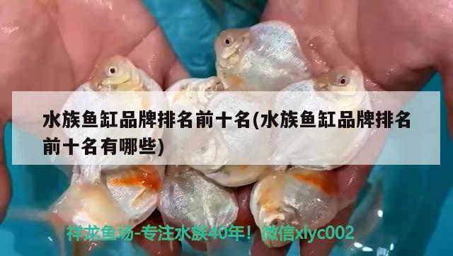 水族鱼缸品牌排名前十名(水族鱼缸品牌排名前十名有哪些) 泰国虎鱼（泰虎）