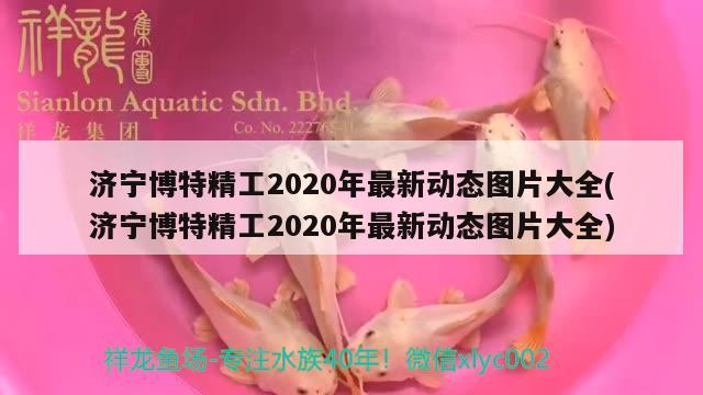 济宁博特精工2020年最新动态图片大全(济宁博特精工2020年最新动态图片大全)