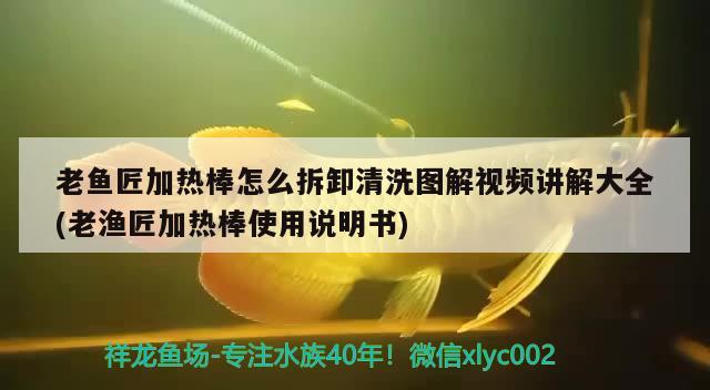 老鱼匠加热棒怎么拆卸清洗图解视频讲解大全(老渔匠加热棒使用说明书)