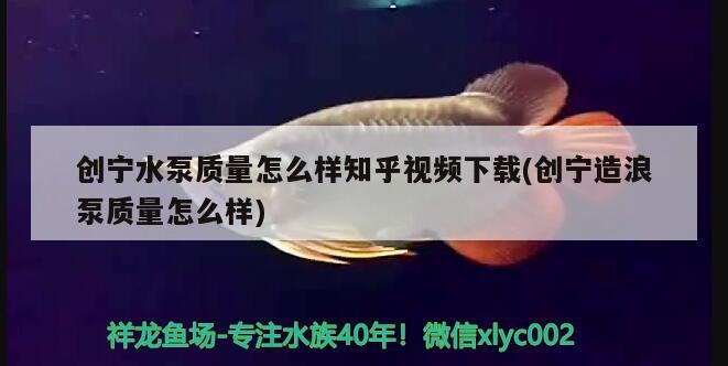 创宁水泵质量怎么样知乎视频下载(创宁造浪泵质量怎么样) 创宁水族