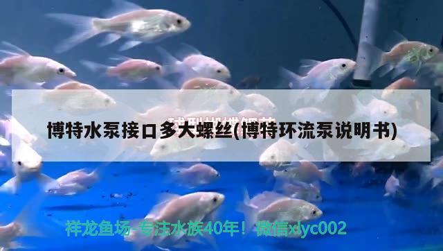 博特水泵接口多大螺丝(博特环流泵说明书) 博特水族