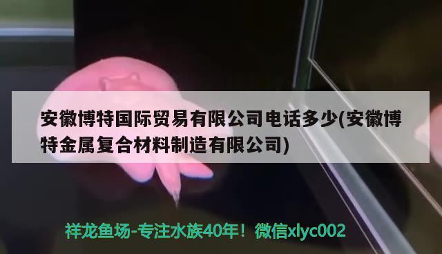 安徽博特国际贸易有限公司电话多少(安徽博特金属复合材料制造有限公司) 博特水族