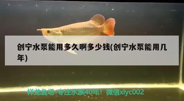 创宁水泵能用多久啊多少钱(创宁水泵能用几年)