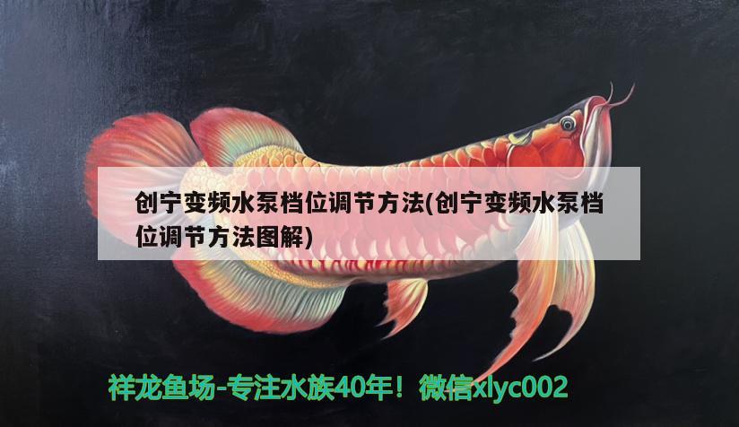 创宁变频水泵档位调节方法(创宁变频水泵档位调节方法图解) 创宁水族