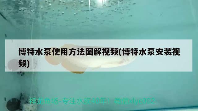 博特水泵使用方法图解视频(博特水泵安装视频)