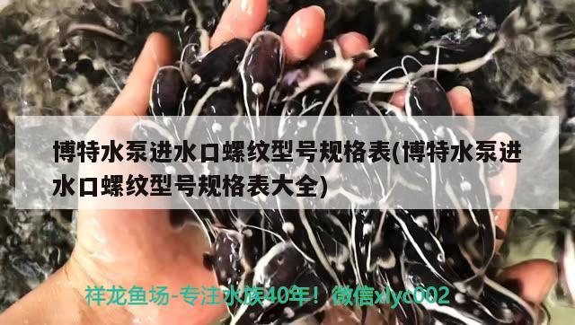 博特水泵进水口螺纹型号规格表(博特水泵进水口螺纹型号规格表大全)