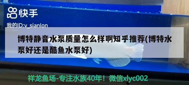 博特静音水泵质量怎么样啊知乎推荐(博特水泵好还是酷鱼水泵好) 博特水族