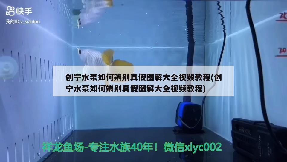 创宁水泵如何辨别真假图解大全视频教程(创宁水泵如何辨别真假图解大全视频教程)