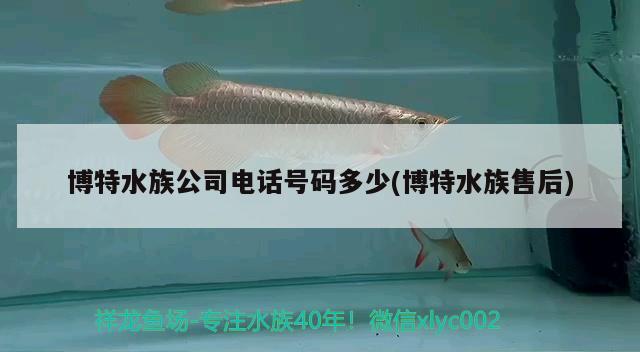 博特水族公司电话号码多少(博特水族售后) 博特水族