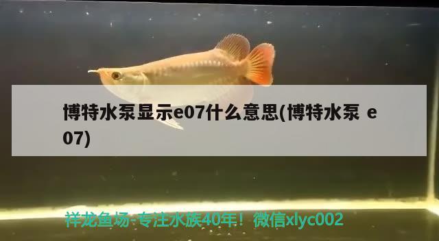 博特水泵显示e07什么意思(博特水泵e07)