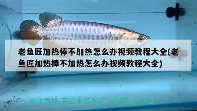 老鱼匠加热棒不加热怎么办视频教程大全(老鱼匠加热棒不加热怎么办视频教程大全) 老鱼匠