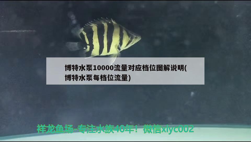 博特水泵10000流量对应档位图解说明(博特水泵每档位流量) 博特水族