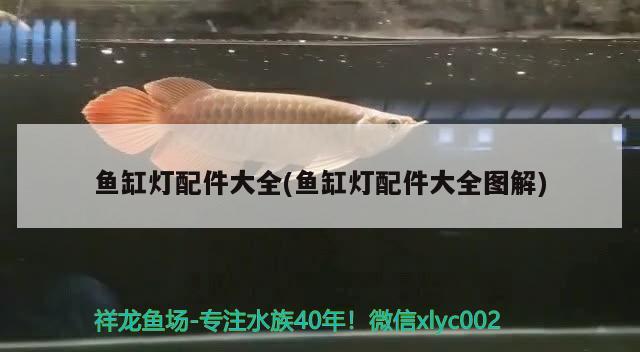 鱼缸灯配件大全(鱼缸灯配件大全图解) 广州水族器材滤材批发市场